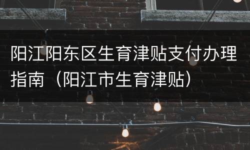 阳江阳东区生育津贴支付办理指南（阳江市生育津贴）