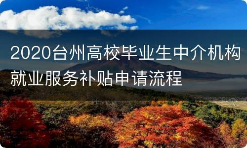 2020台州高校毕业生中介机构就业服务补贴申请流程