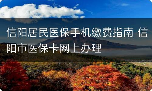 信阳居民医保手机缴费指南 信阳市医保卡网上办理