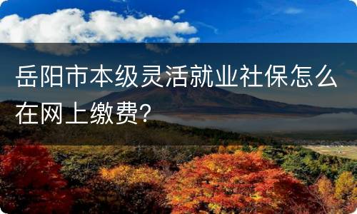 岳阳市本级灵活就业社保怎么在网上缴费？