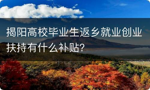 揭阳高校毕业生返乡就业创业扶持有什么补贴？