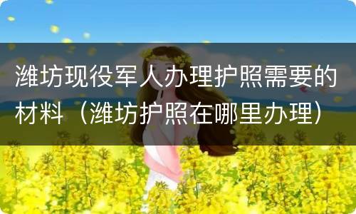 潍坊现役军人办理护照需要的材料（潍坊护照在哪里办理）