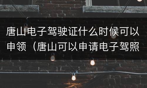 唐山电子驾驶证什么时候可以申领（唐山可以申请电子驾照怎么弄）