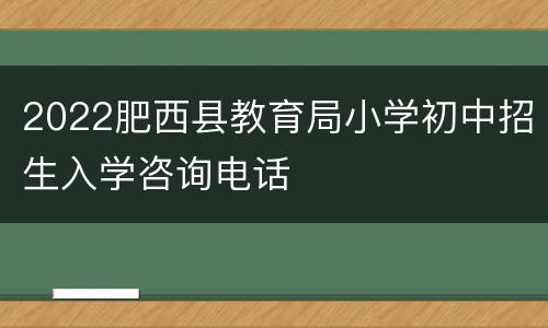 2022肥西县教育局小学初中招生入学咨询电话