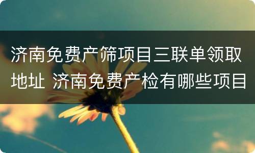 济南免费产筛项目三联单领取地址 济南免费产检有哪些项目