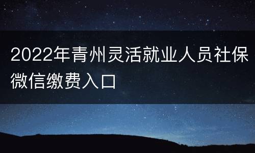 2022年青州灵活就业人员社保微信缴费入口