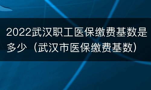 2022武汉职工医保缴费基数是多少（武汉市医保缴费基数）