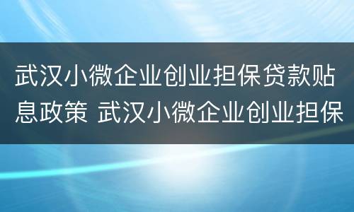 武汉小微企业创业担保贷款贴息政策 武汉小微企业创业担保贷款贴息政策文件