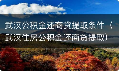 武汉公积金还商贷提取条件（武汉住房公积金还商贷提取）