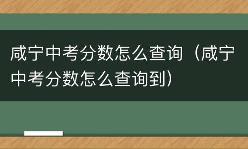 咸宁中考分数怎么查询（咸宁中考分数怎么查询到）
