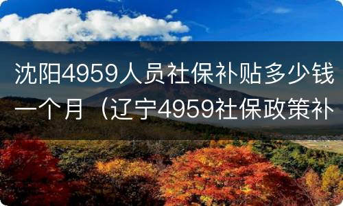沈阳4959人员社保补贴多少钱一个月（辽宁4959社保政策补贴多少）