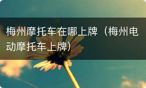 梅州摩托车在哪上牌（梅州电动摩托车上牌）