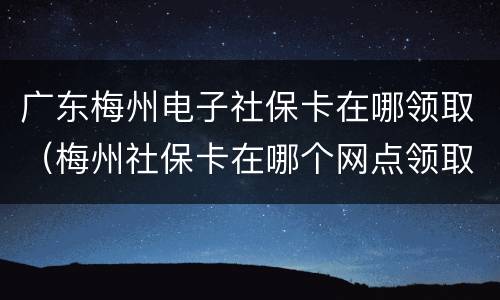 广东梅州电子社保卡在哪领取（梅州社保卡在哪个网点领取）