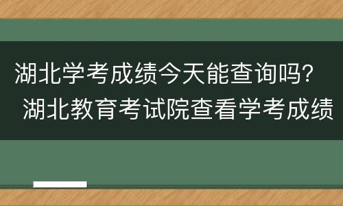 湖北学考成绩今天能查询吗？ 湖北教育考试院查看学考成绩