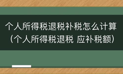 个人所得税退税补税怎么计算（个人所得税退税 应补税额）