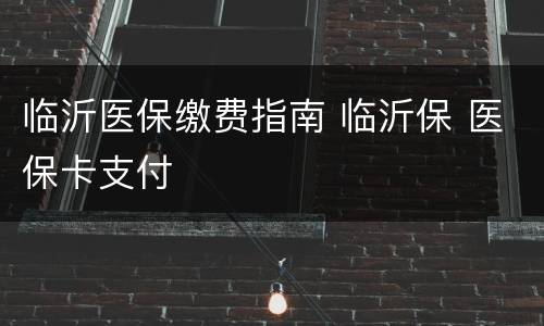 临沂医保缴费指南 临沂保 医保卡支付