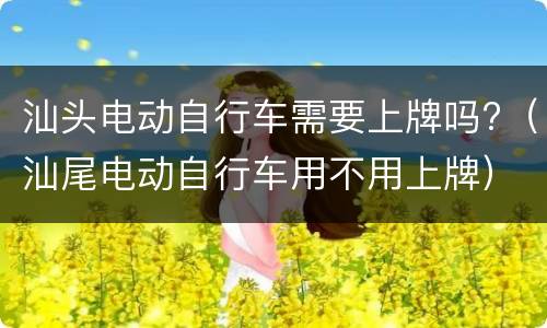 汕头电动自行车需要上牌吗?（汕尾电动自行车用不用上牌）