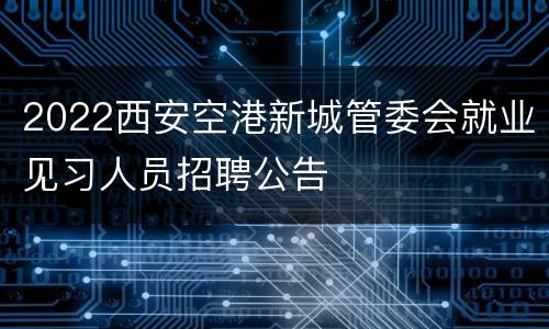 2022西安空港新城管委会就业见习人员招聘公告