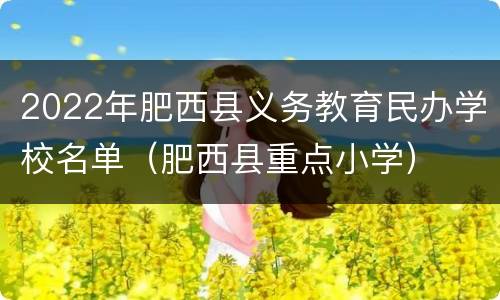 2022年肥西县义务教育民办学校名单（肥西县重点小学）