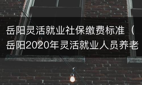 岳阳灵活就业社保缴费标准（岳阳2020年灵活就业人员养老保险缴费标准）