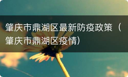 肇庆市鼎湖区最新防疫政策（肇庆市鼎湖区疫情）