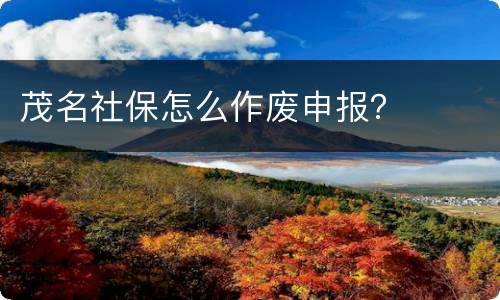 茂名社保怎么作废申报？