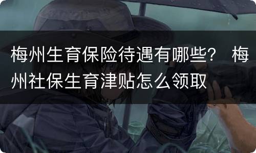 梅州生育保险待遇有哪些？ 梅州社保生育津贴怎么领取