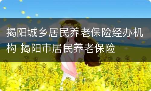 揭阳城乡居民养老保险经办机构 揭阳市居民养老保险