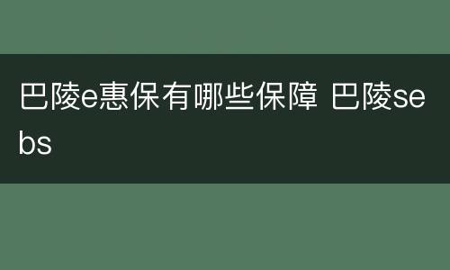 巴陵e惠保有哪些保障 巴陵sebs