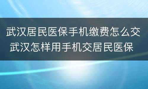 武汉居民医保手机缴费怎么交 武汉怎样用手机交居民医保