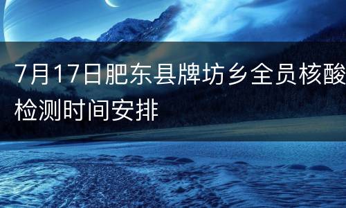 7月17日肥东县牌坊乡全员核酸检测时间安排