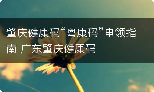 肇庆健康码“粤康码”申领指南 广东肇庆健康码