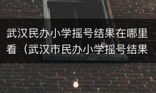 武汉民办小学摇号结果在哪里看（武汉市民办小学摇号结果）