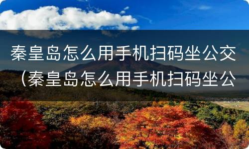秦皇岛怎么用手机扫码坐公交（秦皇岛怎么用手机扫码坐公交地铁）
