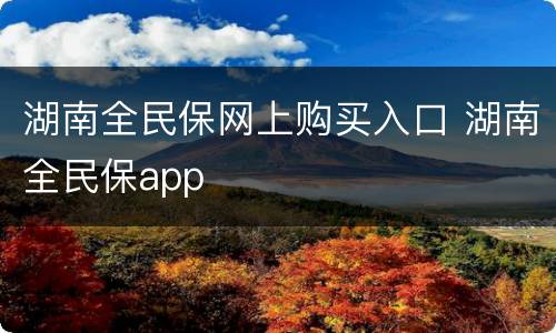 湖南全民保网上购买入口 湖南全民保app