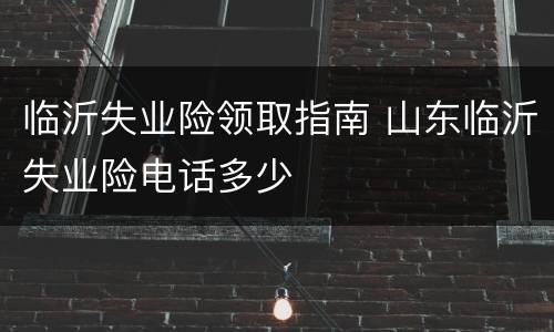 临沂失业险领取指南 山东临沂失业险电话多少