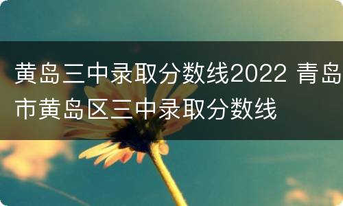 黄岛三中录取分数线2022 青岛市黄岛区三中录取分数线