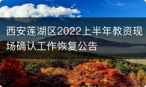 西安莲湖区2022上半年教资现场确认工作恢复公告