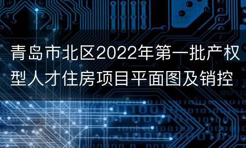 青岛市北区2022年第一批产权型人才住房项目平面图及销控表