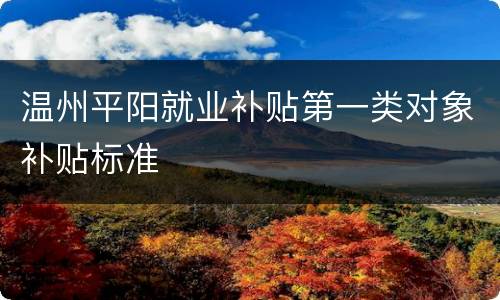 温州平阳就业补贴第一类对象补贴标准