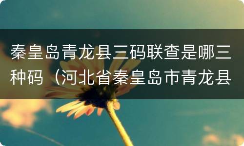秦皇岛青龙县三码联查是哪三种码（河北省秦皇岛市青龙县代码）