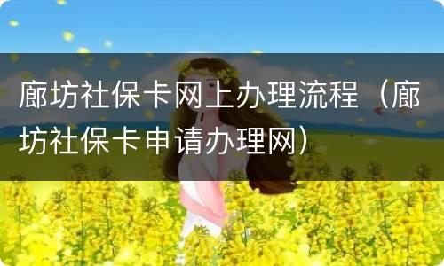 廊坊社保卡网上办理流程（廊坊社保卡申请办理网）