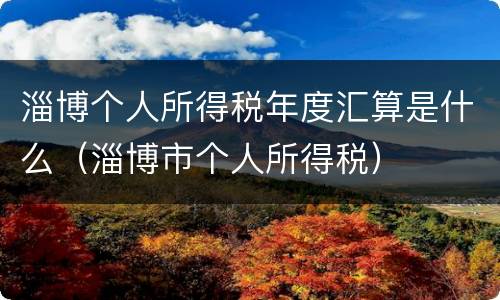 淄博个人所得税年度汇算是什么（淄博市个人所得税）