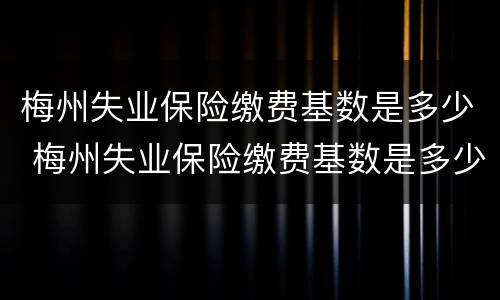 梅州失业保险缴费基数是多少 梅州失业保险缴费基数是多少钱