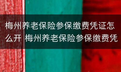 梅州养老保险参保缴费凭证怎么开 梅州养老保险参保缴费凭证怎么开具