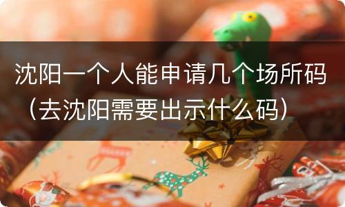 沈阳一个人能申请几个场所码（去沈阳需要出示什么码）