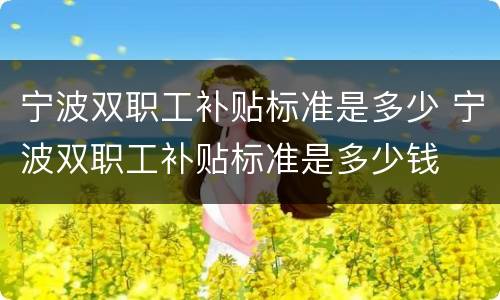 宁波双职工补贴标准是多少 宁波双职工补贴标准是多少钱