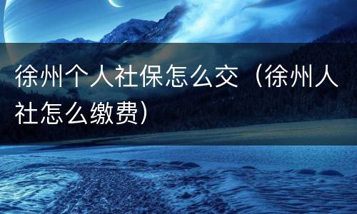徐州个人社保怎么交（徐州人社怎么缴费）