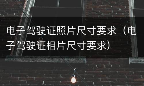 电子驾驶证照片尺寸要求（电子驾驶证相片尺寸要求）