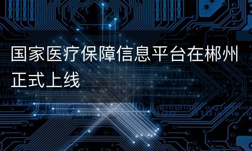 国家医疗保障信息平台在郴州正式上线